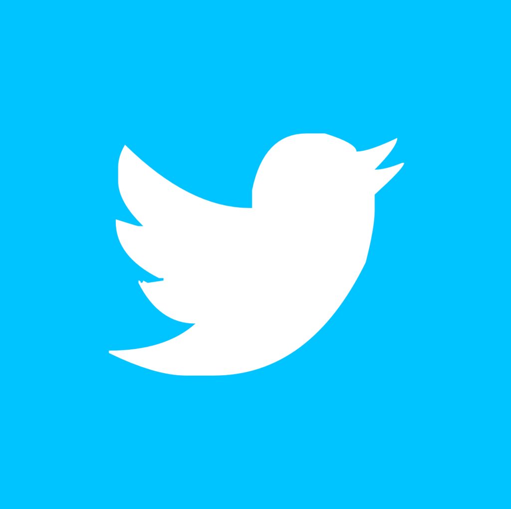 twitter, pin, button